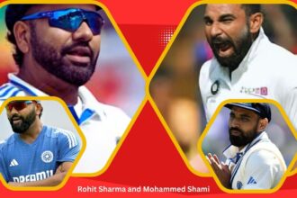 Rohit Sharma and Mohammed Shami